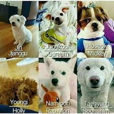 The Name Of The Pet Dogs Of Bts Bts Dogs Bts Boys Bts Funny