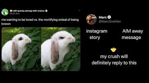 Long verification process to eradicate fake pages. The Funniest Dating Memes For Finding Love During These Trying Times Culture