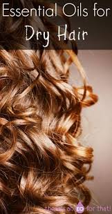 Once whipped, apply to clean, dry hair. Essential Oils For Dry Hair There S An Eo For That