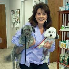 Your pets are members of the family, and you want them to have the best quality of life. Pet Resources In Cleveland Tn Appalachian Animal Clinic