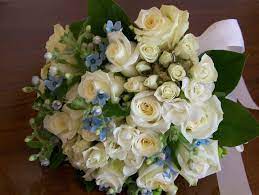 Maybe you would like to learn more about one of these? Bluebells Florist Winchester Va I Love There Work There Store On The Winchester Walking Mall Is So Charming Flower Garden Bluebells Winchester Virginia
