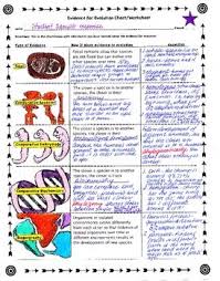 Evidence For Evolution Worksheet In 2020 Biology Resources Middle School Science Science Classroom