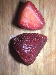 Microscopic view 08 / 30 alcohol examined under a microscope with magnification. Inside Of A Strawberry What S Under The Microscope Facebook