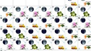 Calendrier Lunaire Avril 2020 Jardiner Avec La Lune
