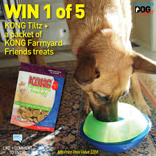 @ buy me a drink. Kong Tiltz Dog Toy Treats Competition Australian Dog Lover