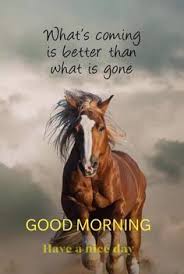 We did not find results for: 900 Good Morning Quotes 2021 Ideas In 2021 Good Morning Quotes Morning Quotes Morning Greetings Quotes