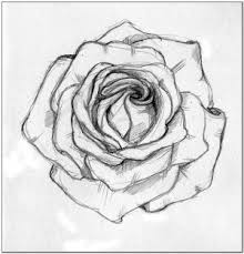 Gambar sketsa bunga mawar ideas beautifultruth. Sketsa Bunga Mawar Sederhana