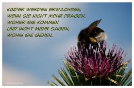 Kinder Werden Erwachsen Wenn Sie Nicht Mehr Fragen Woher Sie Kommen