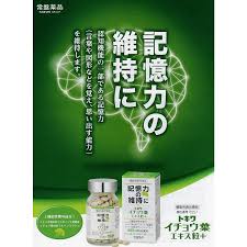 トキワイチョウ葉エキス粒 プラス ９０粒 機能性表示食品 03 012 サウス ビューティー 通販 Yahoo ショッピング