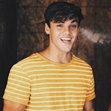 Create your own masterpiece with aesthetic dolan twins paint by number kit. Dolan Twins Are My Sunshine Cupidheartsmgc Twitter