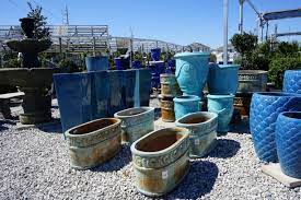 Urban roots garden center, new orleans, la. Garden Center New Orleans La Tpg The Plant Gallery