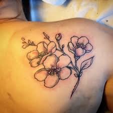 Riscaldata brama 6xl freddo disegni giallo polipropilene spiderman pollice riscaldante 5xl.vuoi conoscere gli ingredienti di fiori pesco tattoo? Bic Indolor Peach Flowers Fiori Rosa Fiori Di Pesco Mi