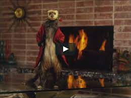 budweiser expose then we got this on the air budweiser funny ads air