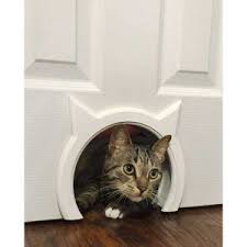 Ouverture Porte Interieure The Kitty Pass Chambre A Theme Chat Cacher Les Litieres Litiere Chat