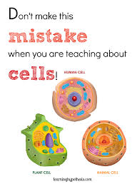 Check spelling or type a new query. What Do All Cells Have In Common Cell Worksheets Focusing On Commonalities Teaching Biology Science Cells Biology Classroom