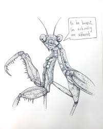 Insects Freak Me Out But At Least This Is Funny Praying Mantis Sketch Book Art