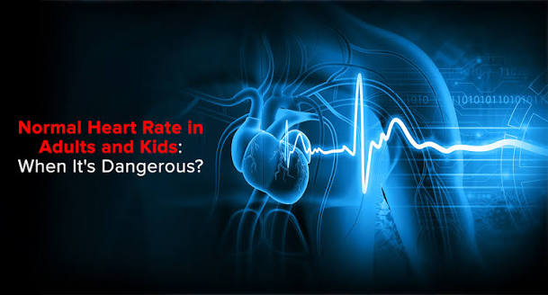 Normal Heart Rate in Adults and Kids: When It's Dangerous? : Eternal  Hospital
