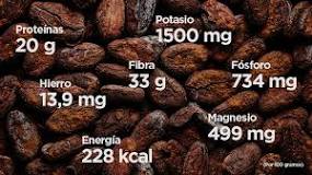 Cacao y chocolate: descubre el origen y diferencias entre ambos