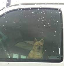 Лежанка для животных со съемным чехлом Pet's Parking 
