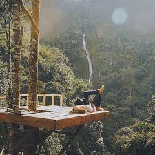 Gefallt 86 3 Tsd Mal 368 Kommentare Tentree Auf Instagram Nature Is Always The Best Company Pc Anggapermadi Hens4m In Ind Bilder Natur Haus Natur