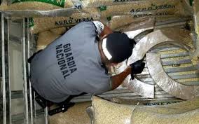Asegura Guardia Nacional 740 Kilos De Cristal Ocultos Entre Costales De Maiz La Prensa Noticias Policiacas Locales Nacionales
