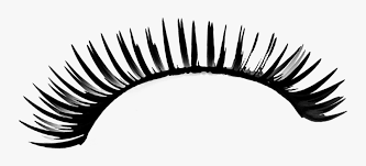 The resolution of this transparent background is 550x360 and size of 126 kb. Eyelash Png Transparent Background Eyelash Clip Art Png Download Kindpng