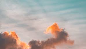 During his playing career, his nickname was chewy. Chmura Lody Weganskie Home Facebook