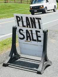 Pin On Gardening