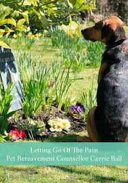 Grieving the loss of a dog after euthanasia is every shade of difficult. 210 Pet Loss Ideas In 2021 Pet Loss Grief Mixed Emotions