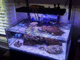 Ballz Reef Members Aquariums Reef Tank Design Saltwater Tank Aquascape Aquarium