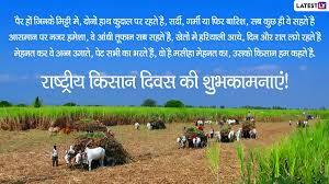 Farmers congregate during day five of the protest against the new farm reform laws at singhu farmers from the nearby states of punjab, haryana and uttar pradesh began arriving by tractors and. 9bgfckvagivuem