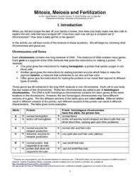 Printables paring mitosis and meiosis worksheet answers biology from comparing mitosis and introduction to genetics mendel and meiosis ppt video online from comparing mitosis and mitosis essay worksheet mitosis versus meiosis worksheet answer key from comparing mitosis. Meiosis Coloring Activity Lesson Plans Worksheets