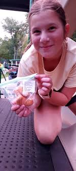 Moo cow's stuffing found all over house