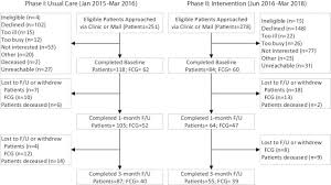 Translation And Evaluation Of A Lung Cancer Palliative Care