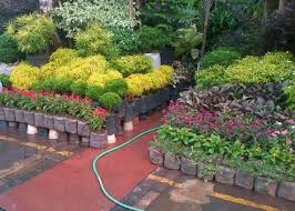 Jual bibit bunga / tanaman hias (daun & gantung) bibit bunga eceran murah bergaransi 100% hubungi: Jual Tanaman Hias Di Balikpapan Jual Tanaman Dan Pembuatan Taman