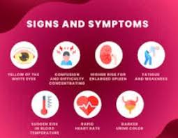 Image result for G6PD Deficiency