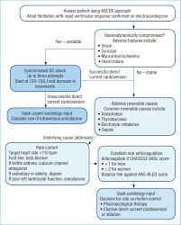 Image result for Ventricular Fibrillation Management in the Adult