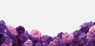 purple petaled flowers floral design cut flowers purple purple flowers flower arranging violet computer wallpaper png pngwing purple petaled flowers floral design