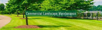 Explore other popular home services near you from over 7 million businesses with over 142 million reviews and opinions from yelpers. Commercial Landscape Maintenance Maryland Virginia Dc