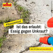 Essig Gegen Unkraut Selbst De In 2020 Unkraut Unkraut Entfernen Unkrautvernichter Selber Machen