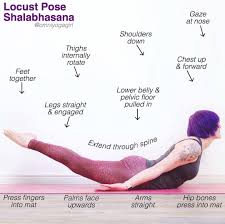 Triyogaschool This Weeks Pose Is Locustpose Or Shalabhasana I M Showing Shalabhasana A From The Ashtangay Post Workout Yoga Yoga Movement Best Yoga