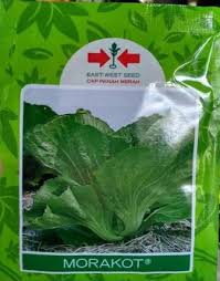 Menggambar adalah sesuatu yang menyenangkan terutama bagi anak usia dini, ia senang mewarnai suatu gambar. Toko Pertanian Petani Indonesia Lmga Agro Jual Benih Sawi Pahit Morakot Terbaik Cap Panah Merah