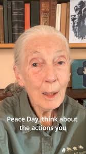 Anna-Lena Hedberg motionerar om att skärpa lagstiftningen beträffande hot,  trakasserier och sabotage mot jägare och jaktutövning. Hon lyfter att  “jägare utsätts … för hot och trakasserier i samband med sin lagliga  jaktutövning.”