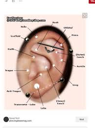 Pin By Mamagshouse On Earings Piercings Ear Piercing