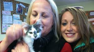 Abused kitten gets new home