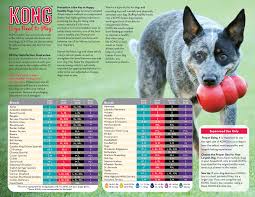 Kong Toy Size Charts By Breed Dog Toys Kong Toys Pet Dogs