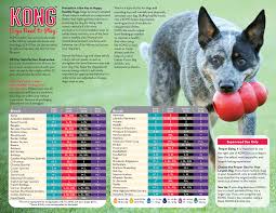 kong toy size charts by breed dog toys kong toys pet dogs