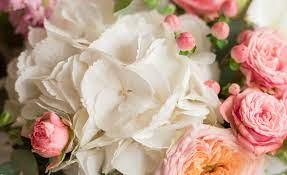 We would like to show you a description here but the site won't allow us. Simply Flowers South Ruislip Order Online Or 0208 836 3959