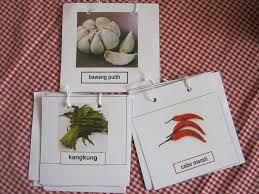 Jadi bagi kamu yang penasaran dengan apa saja sih jenis tanaman herbal obat alami keluarga tersebut dan apa saja khasiat yang terkandung di dalamnya? Kegiatan Tk Tema Tanaman Obat Guru Paud