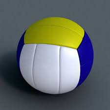 3d Volley Volleyball Ball 3d Model Ball Volley Volleyball